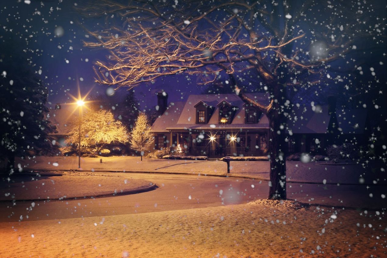 Frohe Weihnachten / Merry Christmas