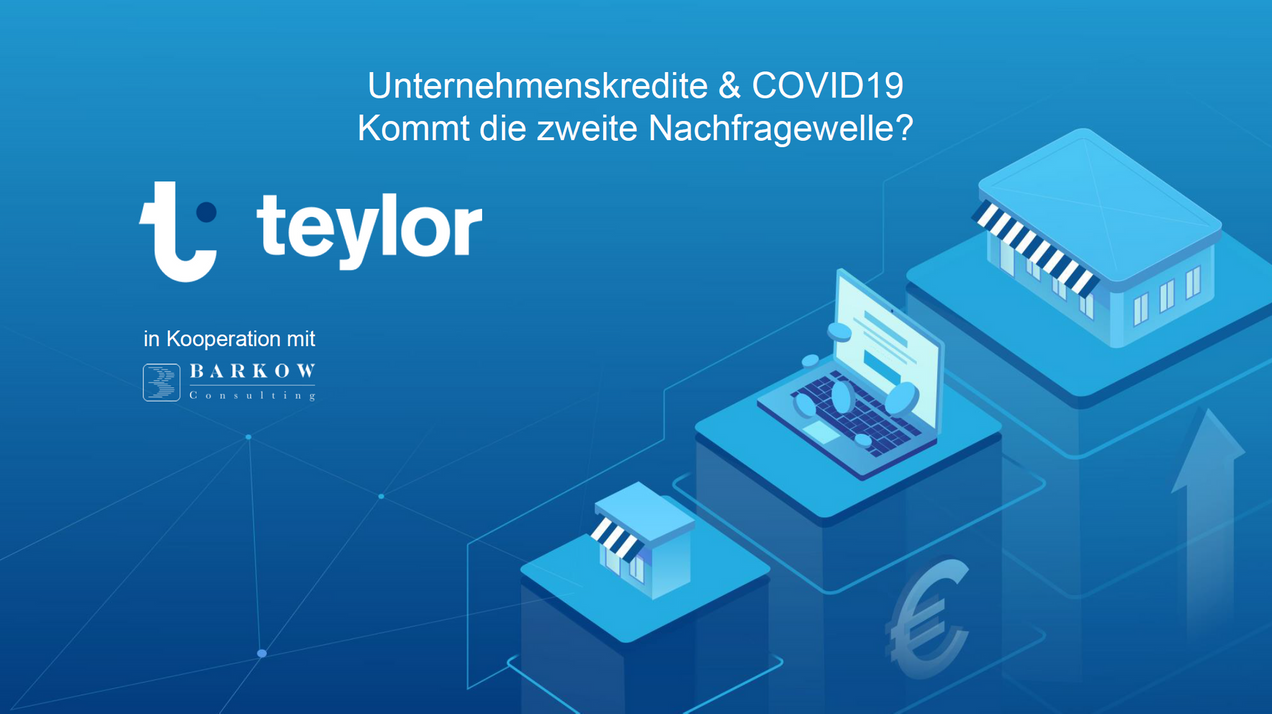 Teylor und Barkow Consulting veröffentlichen Studie zur Kreditnachfrage